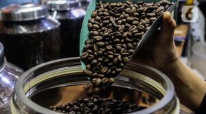 Peluang Jatim Untuk Ekspor Kopi di Tengah Pandemi